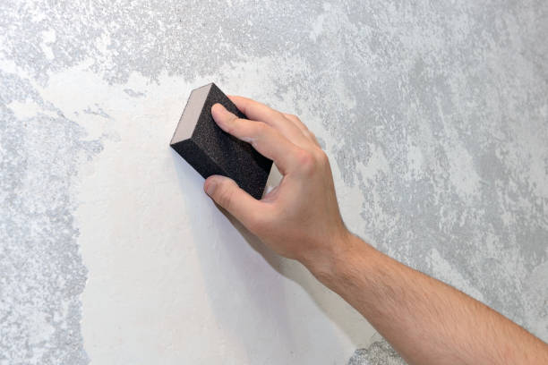 Best Water Damage & Mold Remediation  in Andusia, AL