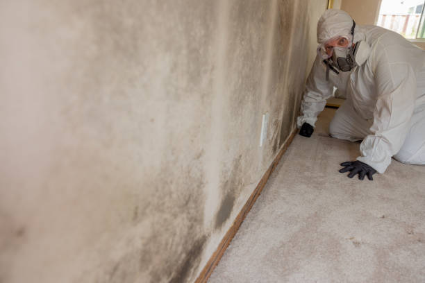 Mold Remediation for Vacation Homes in Andalusia, AL