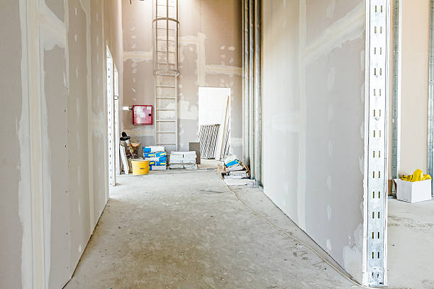  Andusia, AL Mold Removal Pros