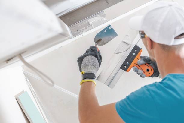 Best Industrial Mold Remediation  in Andusia, AL